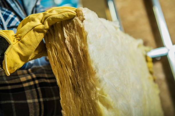 Best Insulation Removal  in Soldotna, AK