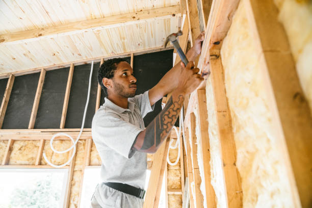Best Local Insulation Services  in Soldotna, AK