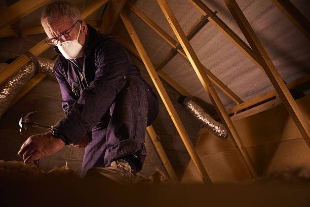 Best Energy-efficient Insulation  in Soldotna, AK